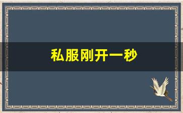 热血江湖答题器：私服刚开一秒(新区刚开一