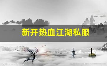 新开热血江湖私服 (3)