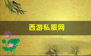 西游私服网(西游网手机游戏)