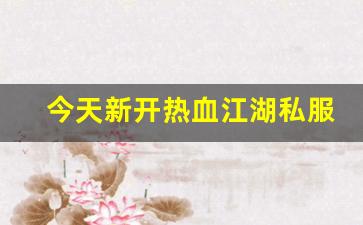 今天新开热血江湖私服 (8)