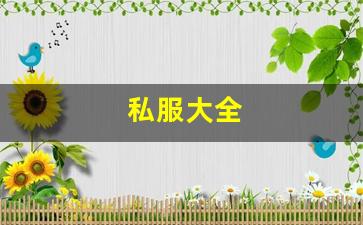 私服热血江湖：私服大全 (2)