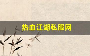 热血江湖私服网 (12)