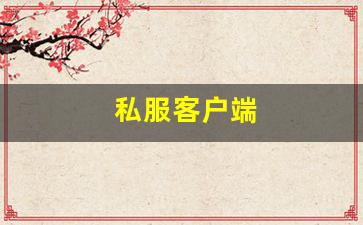 私服客户端 (13)