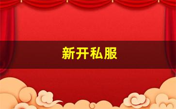 新开私服(传奇新开服网站大全) (5)