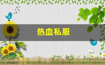 私服刚开一秒：热血私服(热血官方网站)