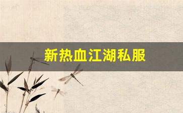 新热血江湖私服(新热血江湖m官网) (3