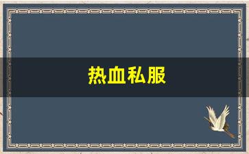 热血私服(热血 sfc) (2)