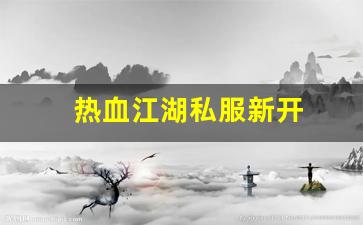 热血江湖私服新开 (8)